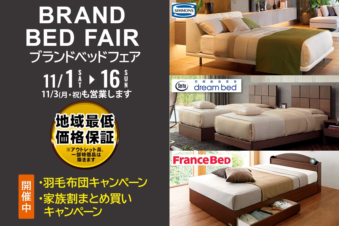 ドリームベッド